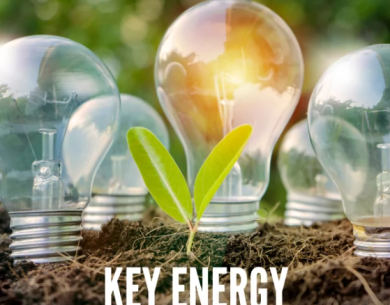 Lampadine e piantina simboleggiano energia sostenibile e innovazione.