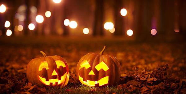 Deux citrouilles sculptées illuminées dans un parc d'automne la nuit.